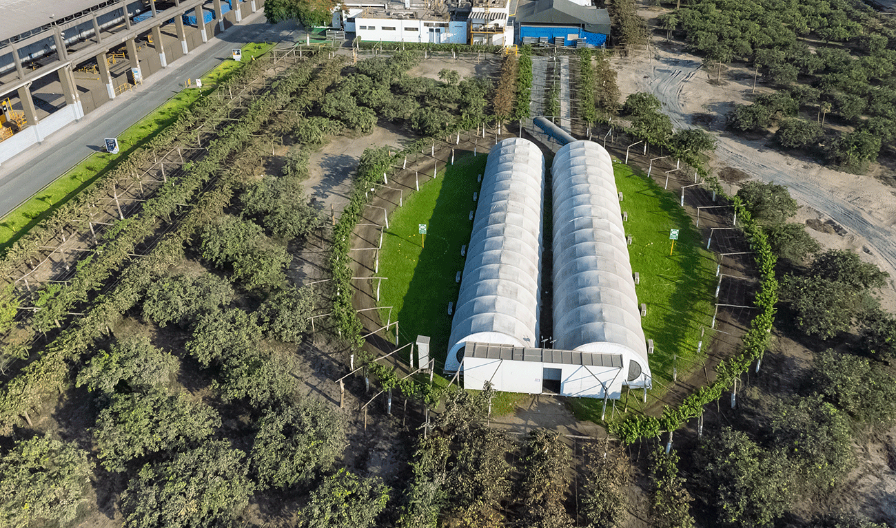 Conservación de la biodiversidad