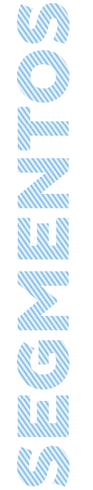 Segmentos