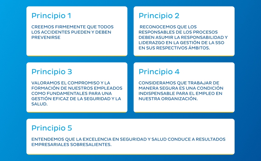 gestión-de-seguridad