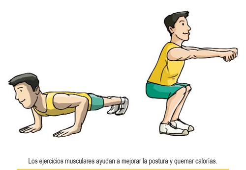 Los ejercicios musculares ayudan a mejorar la postura y quemar calorrías.